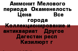 Аммонит Мелового периода. Окаменелость. › Цена ­ 2 800 - Все города Коллекционирование и антиквариат » Другое   . Дагестан респ.,Кизилюрт г.